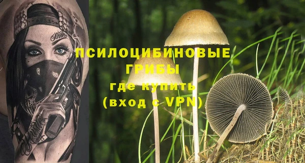 соль ск Покровск