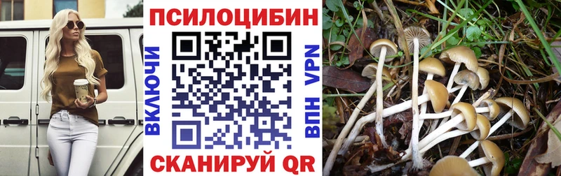 MEGA ССЫЛКА  Спасск  Галлюциногенные грибы мицелий 